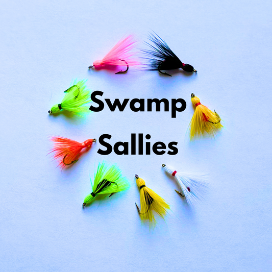 Okefenokee Swamp Sallies