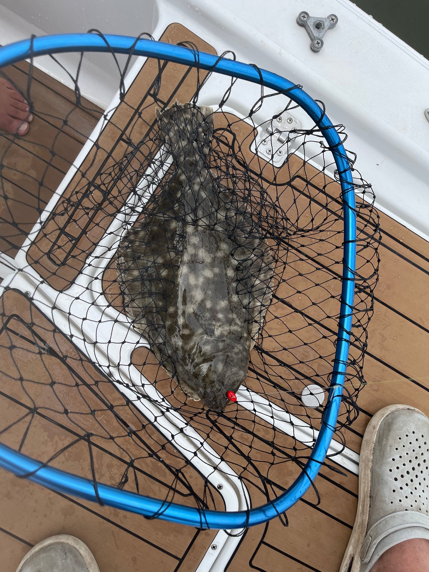 Flounder Hooks